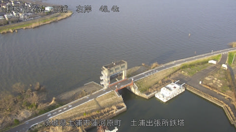 sakura2026031917_image