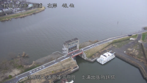 sakura2026031918_image