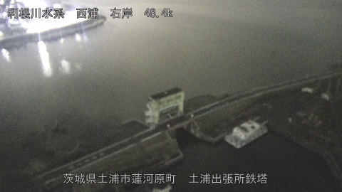 sakura2026031920_image