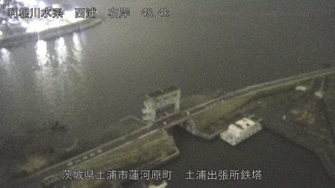 sakura2026031921_image