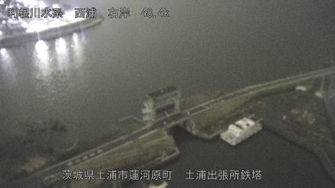 sakura2026031922_image