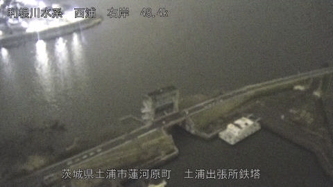 sakura2026031923_image