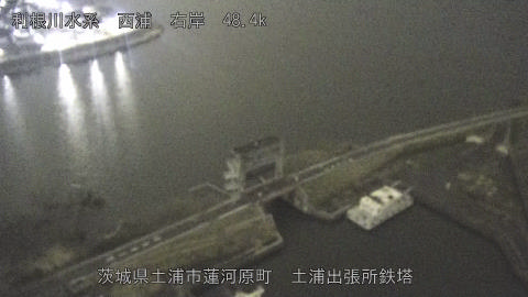 sakura2026032001_image