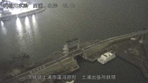 sakura2026032002_image