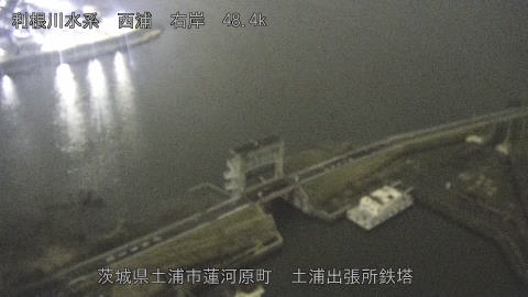 sakura2026032005_image