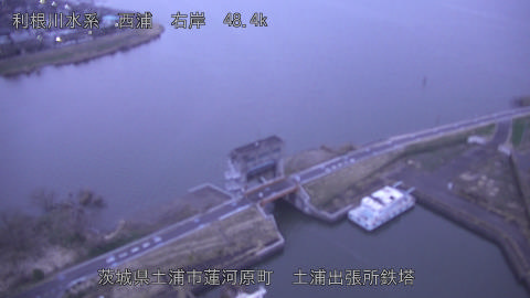 sakura2026032006_image