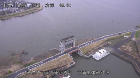 sakura2026032007_image