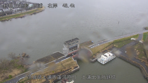 sakura2026032008_image