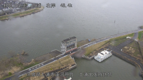 sakura2026032009_image