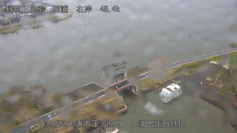 sakura2026032010_image