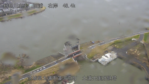 sakura2026032011_image