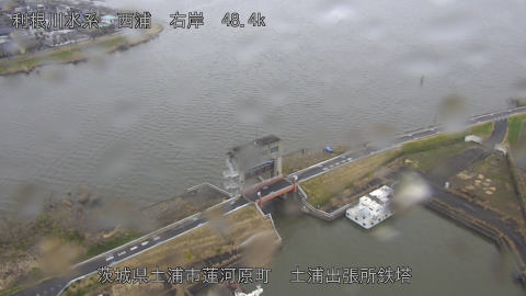 sakura2026032012_image