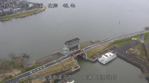 sakura2026032013_image