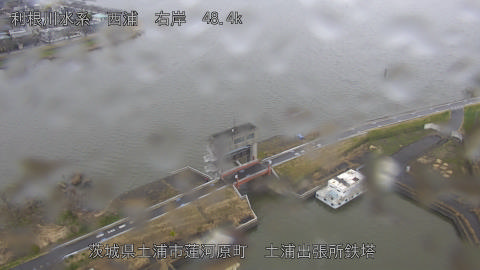 sakura2026032014_image