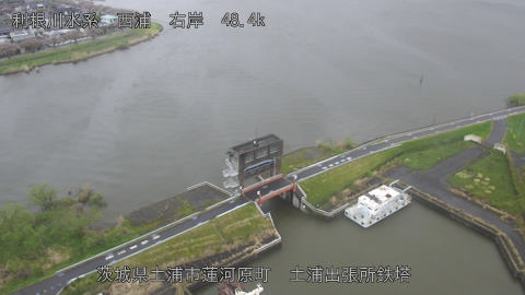 sakura2026041012_image