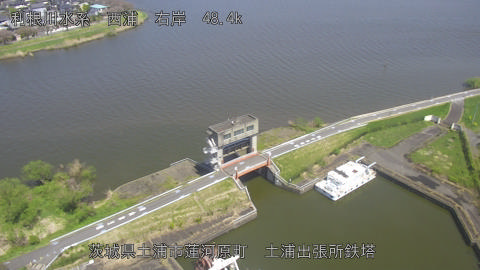 sakura2026041112_image
