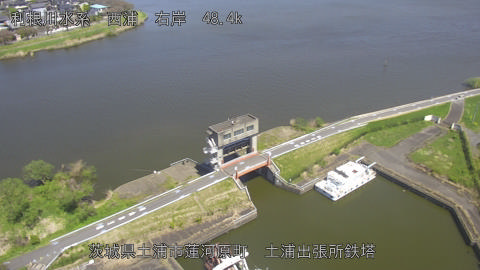 sakura2026041212_image