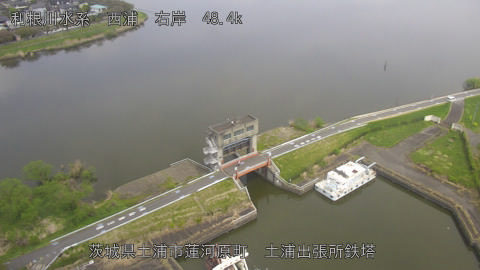 sakura2026041312_image