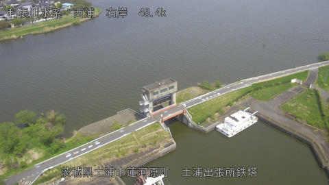 sakura2026041412_image