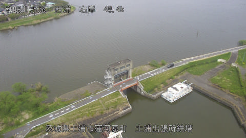 sakura2026041512_image