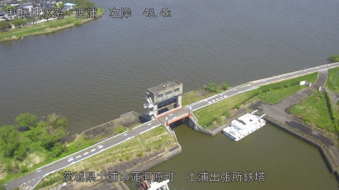 sakura2026041612_image