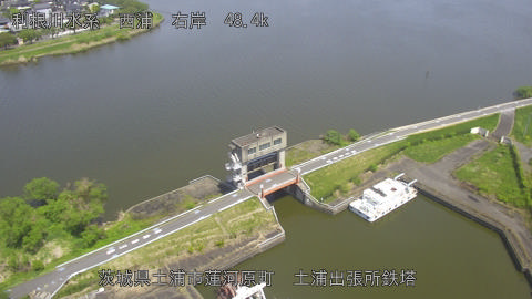 sakura2026041712_image