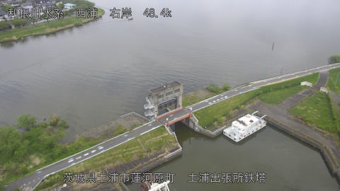 sakura2026041812_image