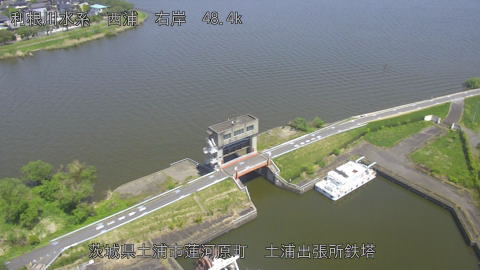 sakura2026041912_image