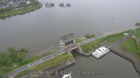sakura2026042112_image