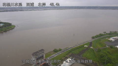 sakura2026050409_image