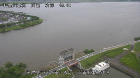sakura2026061012_image