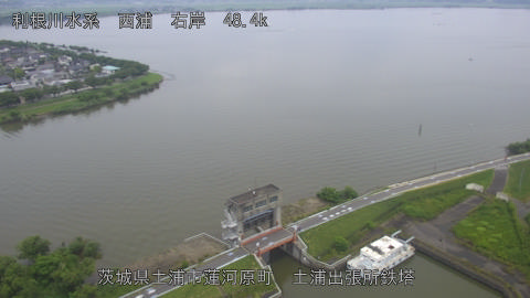 sakura2026061412_image