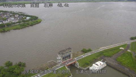 sakura2026061512_image