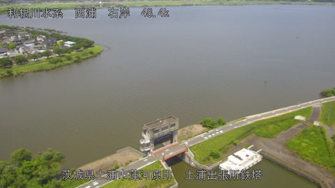 sakura2026061713_image