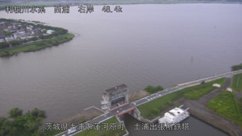 sakura2026061719_image