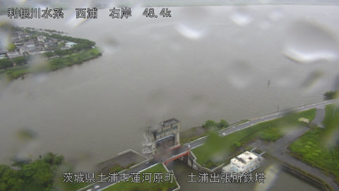 sakura2026061810_image
