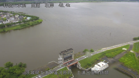 sakura2026061813_image