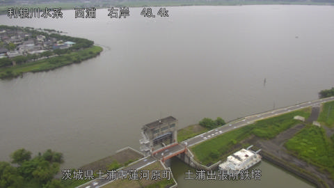 sakura2026070512_image