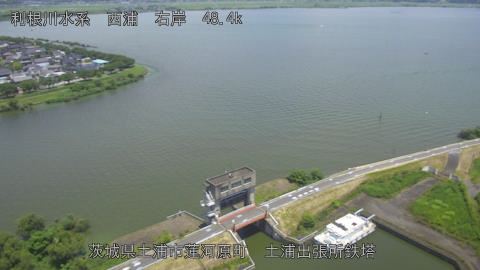 sakura2026070912_image
