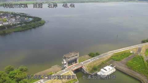sakura2026071012_image