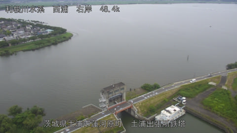 sakura2026071112_image