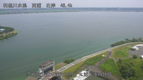 sakura2026071412_image