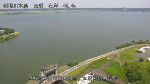 sakura2026071512_image
