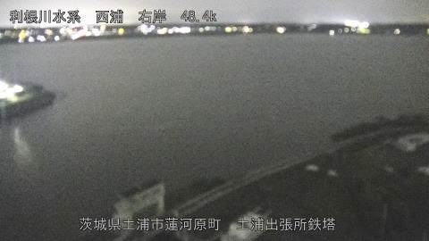 sakura2026073121_image