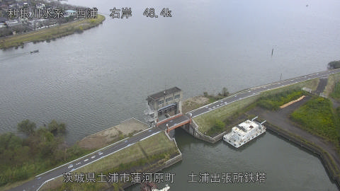 sakura2026101312_image