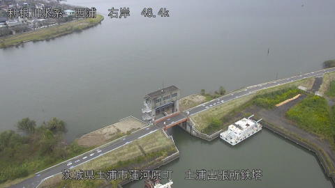 sakura2026101412_image