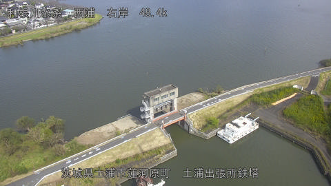 sakura2026102212_image