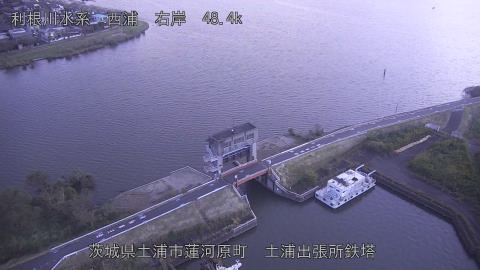 sakura2026102306_image