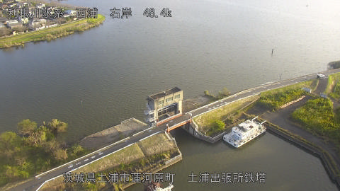 sakura2026102307_image