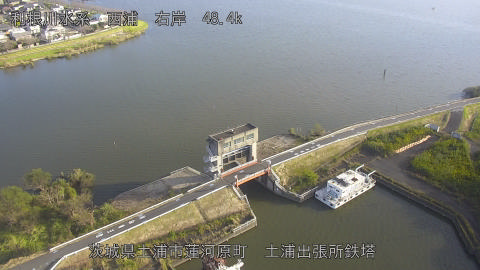 sakura2026102308_image